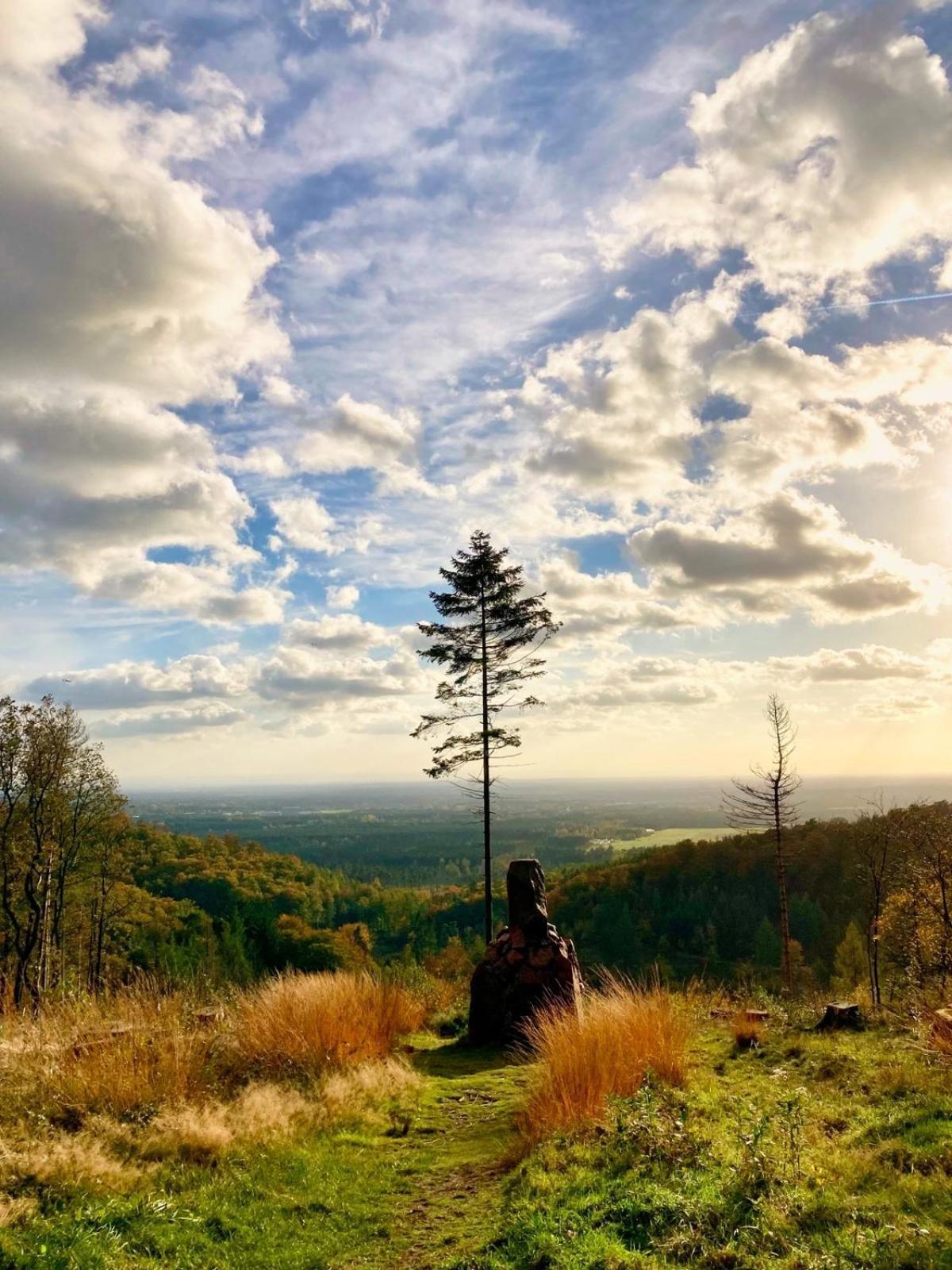 Berggasthof Toensblick Oerlinghausen Buitenkant foto